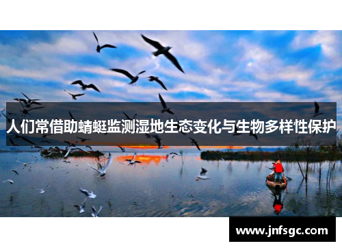 人们常借助蜻蜓监测湿地生态变化与生物多样性保护