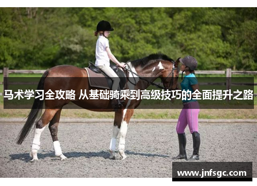 马术学习全攻略 从基础骑乘到高级技巧的全面提升之路